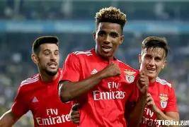 开云app-关于冲刺阶段本菲卡状态回暖——英超节点到来，引发热议，医务组通报恢复的信息